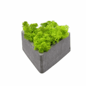 Triangle beton kaspó mész zöld zuzmóval